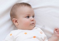 Petit-INDI - Baby